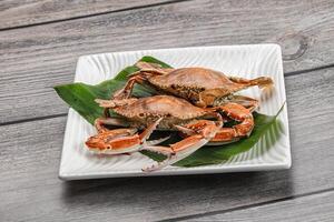 Yummy boiled crab in the plate photo