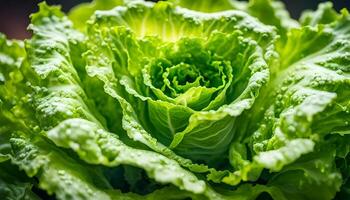 AI generated A freshly washed lettuce photo