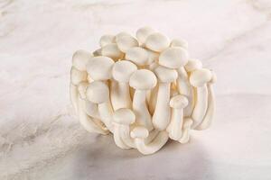 Japanese Shimeji mushroom for cooking photo