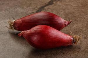 Violet raw onion for cooking photo