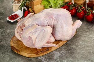 Raw whole chicken for cooking photo