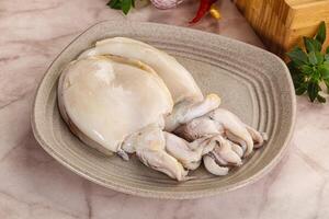 Raw fresh cuttlefish for cooking photo