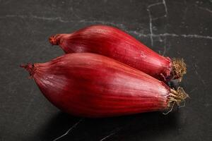 Violet raw onion for cooking photo