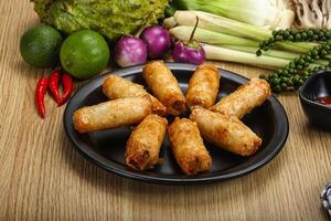 Vietnamese cuisine fried spring roll photo