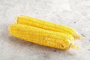 Sweet yellow raw corn cob photo