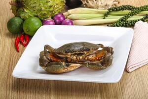 Delicous fresh raw uncooked crab photo