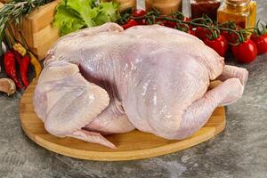 Raw whole chicken for cooking photo