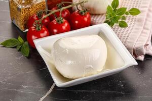 Italian cheese mozzarella buffalo ball photo