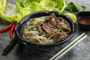 Vietnamese traditional soup Pho Bo with beef photo