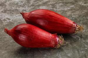 Violet raw onion for cooking photo