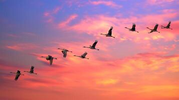 ai generado un rebaño de migratorio aves moscas en porciones en el distancia en el puesta de sol cielo foto