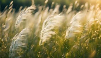AI generated Feather grass on the summer meadow. Beautiful, magical, abstract background of grass in the summer meadow. Feather grass fluttering in the wind. photo