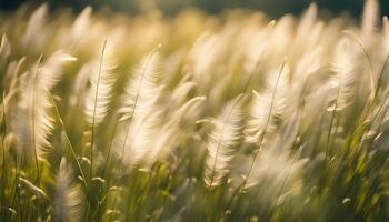 AI generated Feather grass on the summer meadow. Beautiful, magical, abstract background of grass in the summer meadow. Feather grass fluttering in the wind. photo