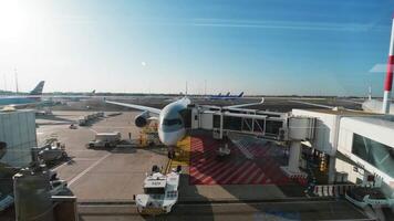 Dubai, Vereinigte Arabische Emirate, 2020 - - Ladung Flugzeug Vorbereitung beim das Flughafen Terminal video