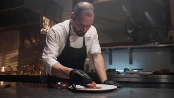 cocinero refinamiento un plato video