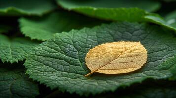 AI generated Golden leaf on green foliage close up concept of uniqueness and nature photo