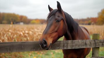 AI generated Brown Horse Standing Next to Wooden Fence photo