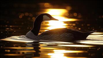 AI generated Serene Goose Swimming at Golden Hour on a Tranquil Lake photo