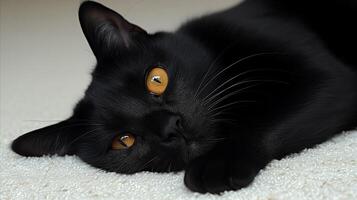 AI generated Relaxed Black Cat Lounging Indoors photo