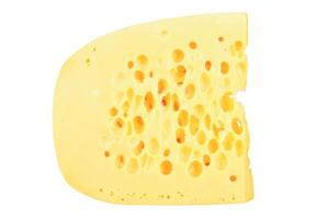 piece of cheese photo