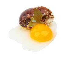 quail egg isolated photo