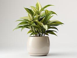 ai generado planta maceta para decoración foto