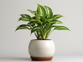 AI generated Plant pot for decoration photo