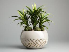 ai generado planta maceta para decoración foto