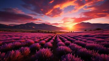 ai generado maravilloso escenario, increíble verano paisaje de floreciente lavanda flores, pacífico puesta de sol vista, agricultura escénico. hermosa naturaleza antecedentes foto