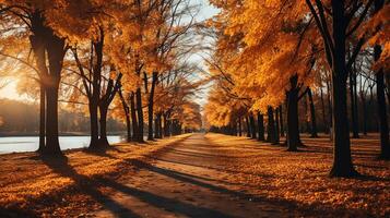 AI generated Amazing autumn landscape. Panoramic forest nature. Colorful forest with sun rays orange golden leaves trees. dream fantasy scenic pathway. Beautiful fall park footpath photo