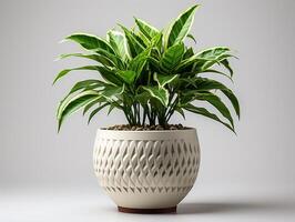 AI generated Plant pot for decoration photo