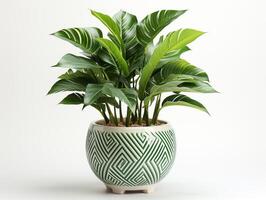 ai generado planta maceta para decoración foto