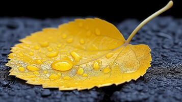 AI generated Close-up of autumn yellow leaf with raindrops on a textured surface photo