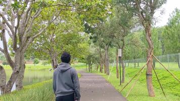 joven adulto caminando en parque disfrutar y relajarse a lanzamiento el estresado. el imágenes es adecuado a utilizar para calma disfruté actividad, ocio actividad y parque antecedentes. video