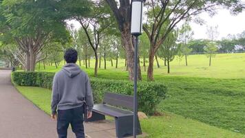 uomo seduta e a piedi su il parco giù cittadina. il metraggio è adatto per uso per calma goduto attività, tempo libero attività e parco sfondo. video