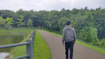 jovem adulto caminhando em parque apreciar e relaxar para liberação a estressado. a cenas é adequado para usar para calma curtiu atividade, lazer atividade e parque fundo. video