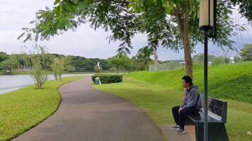 Man sitting and walking on the park down town. The footage is suitable to use for calm enjoyed activity, leisure activity and park background. video