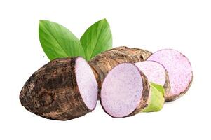 Taro root and slice with leaf isolated on white background. photo