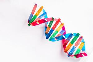 DNA or Deoxyribonucleic acid is a double helix chains structure formed by base pairs attached to a sugar phosphate backbone. photo