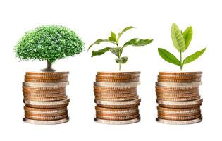 árbol plúmula hoja en salvar dinero apilar monedas, negocio Finanzas ahorro bancario inversión. foto