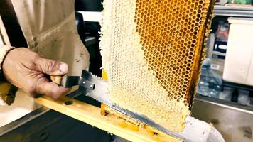 Beekeeper Unseal Goneytsomb. A tslose-up knife opens honeytsomb vith honey on frame made of beegive. video