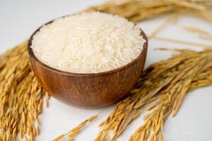 Jasmine white rice with gold grain from agriculture farm. photo