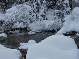 a stream of water photo