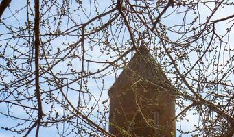 árbol en el primavera, primavera árbol en un Iglesia antecedentes foto