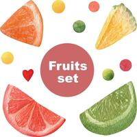 Slices of fruits for decoration of cocktails vector