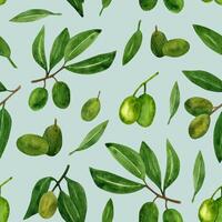 aceitunas sin costura modelo con aceituna ramas y frutas para italiano cocina diseño o comida con petróleo vector