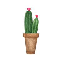 Single cute hand drawn watercolor cactus pot vector