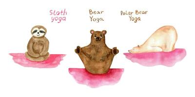 Adorable set of watercolor yoga bear. vector