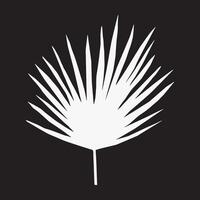 negro y blanco siluetas de tropical hoja, árbol. vector botánico ilustraciones, floral elementos, monstruo, palma hojas. mano dibujado planta para decoración.