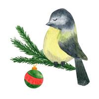 Single hand drawn titmouse on branch for New Year and Xmas greeting cards. Cute watercolor. vector